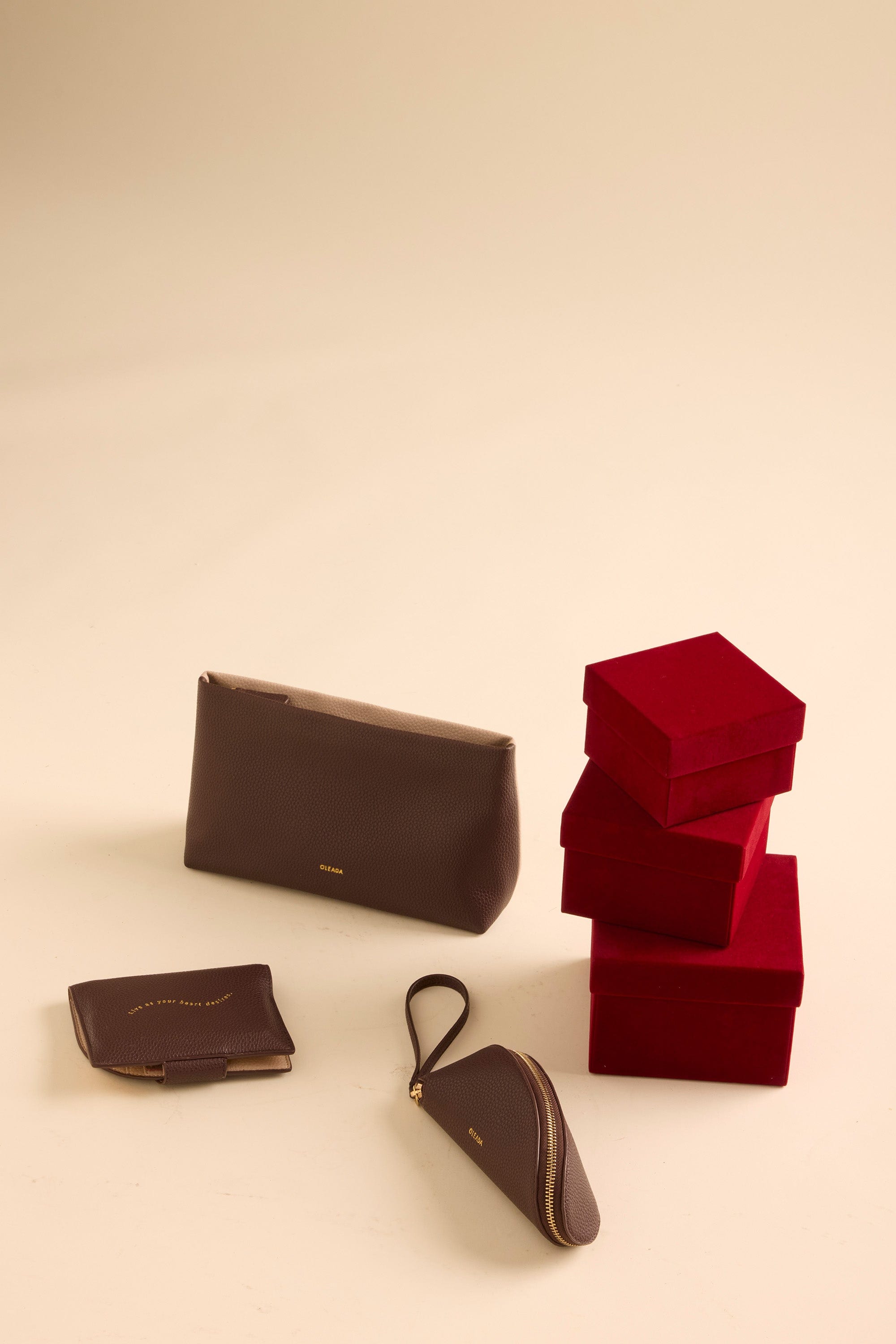 OLEADA NYC Apparel and Accessories > Women > Small Leather Goods > Leather Passport Holder Jetsetter Toiletry Bag